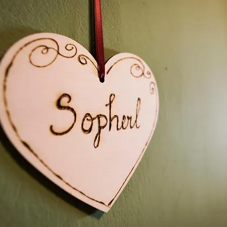 Domizil Ausseerland * 奥尔陶斯