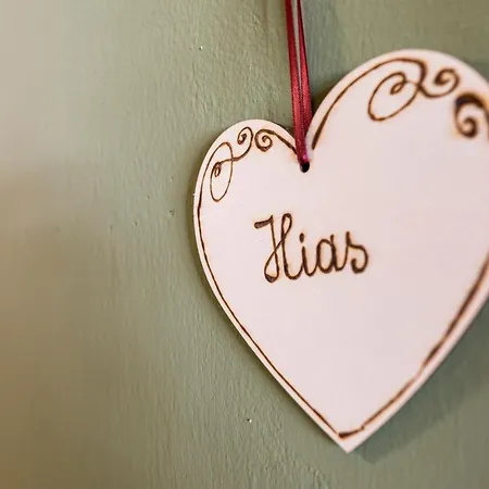 Domizil Ausseerland 奥尔陶斯