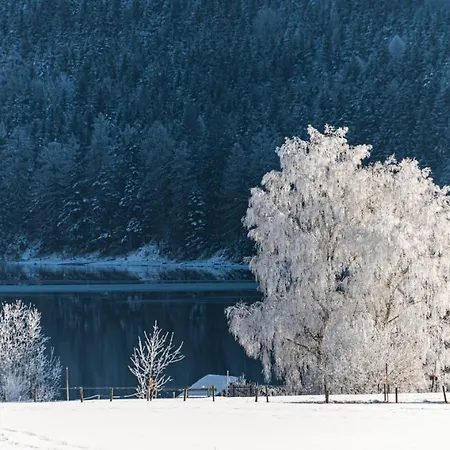 Domizil Ausseerland * 奥尔陶斯