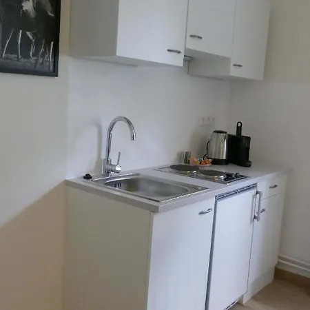 Otel Domizil Ausseerland *