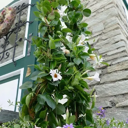 Domizil Ausseerland Альтаусзее