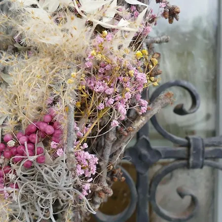 Domizil Ausseerland Отель Альтаусзее