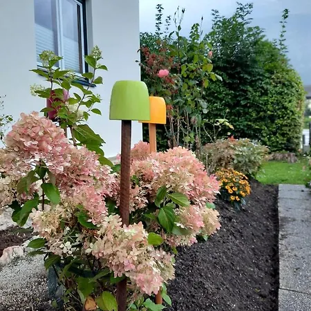 Domizil Ausseerland 奥尔陶斯