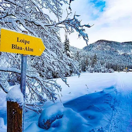 Domizil Ausseerland Altaussee