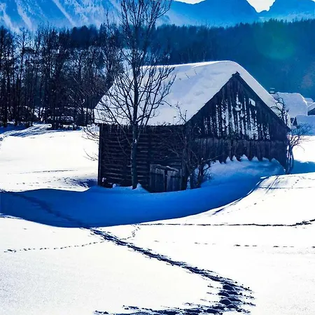 酒店 Domizil Ausseerland *