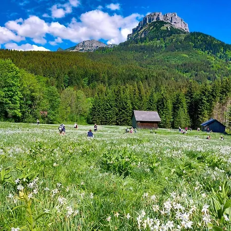 酒店 Domizil Ausseerland *