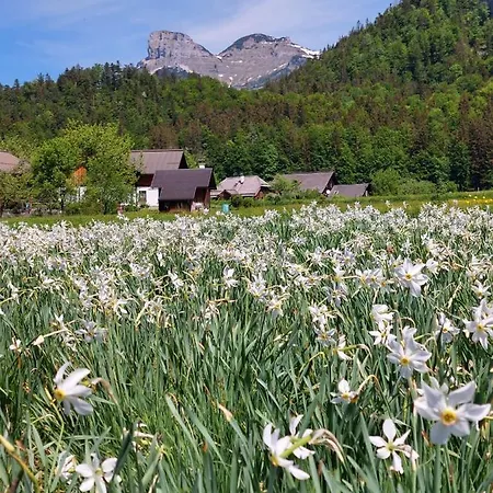 酒店 Domizil Ausseerland