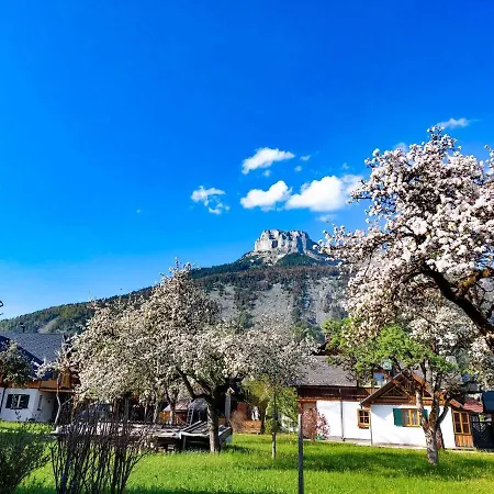 Domizil Ausseerland 奥尔陶斯