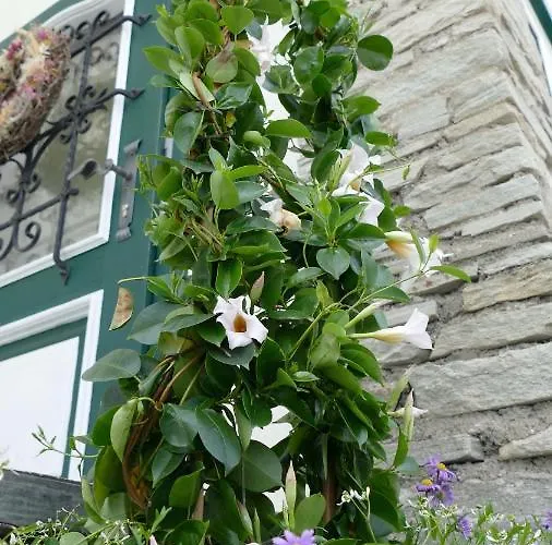 Domizil Ausseerland التوسي