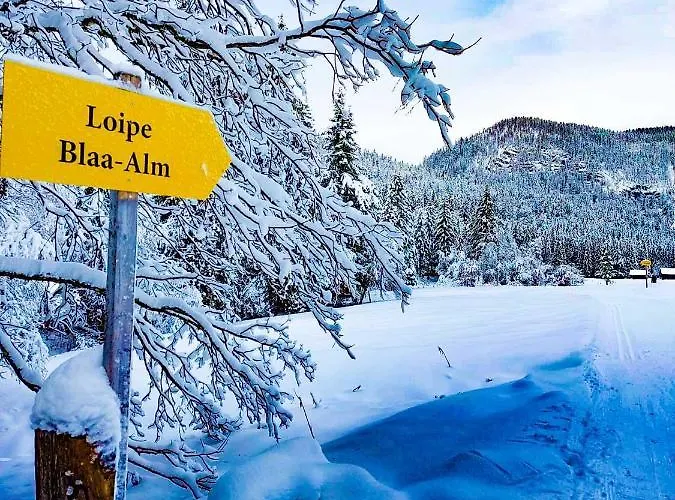 Domizil Ausseerland التوسي