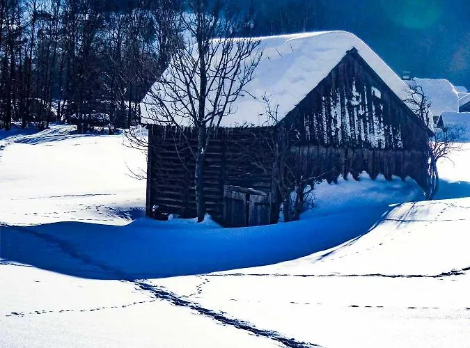 فندق Domizil Ausseerland *