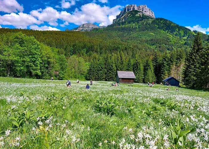 فندق Domizil Ausseerland *