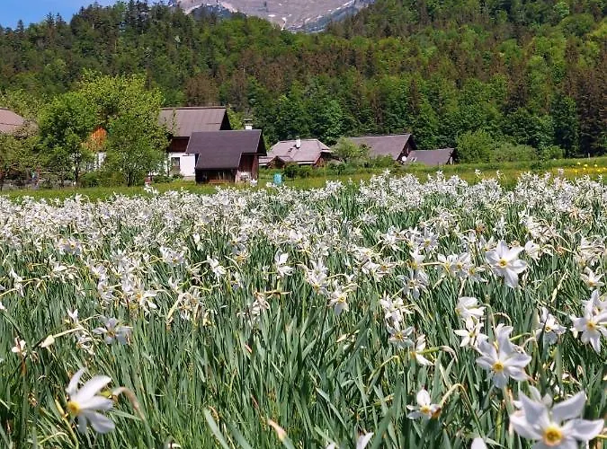 호텔 Domizil Ausseerland